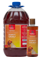 Design sem nome (38)